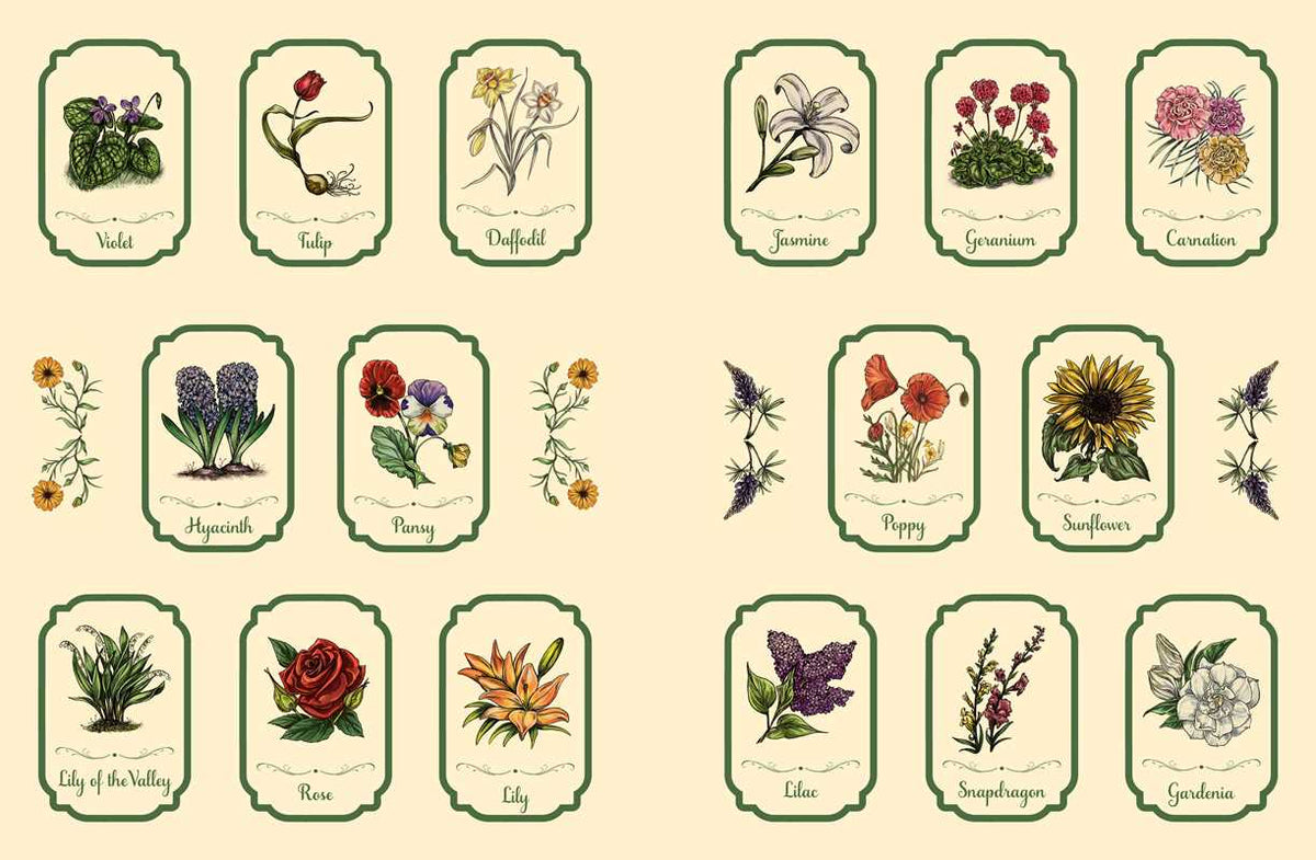 Green Witch's Sticker Book by Arin Murphy-Hiscock: Paperback 144 pages