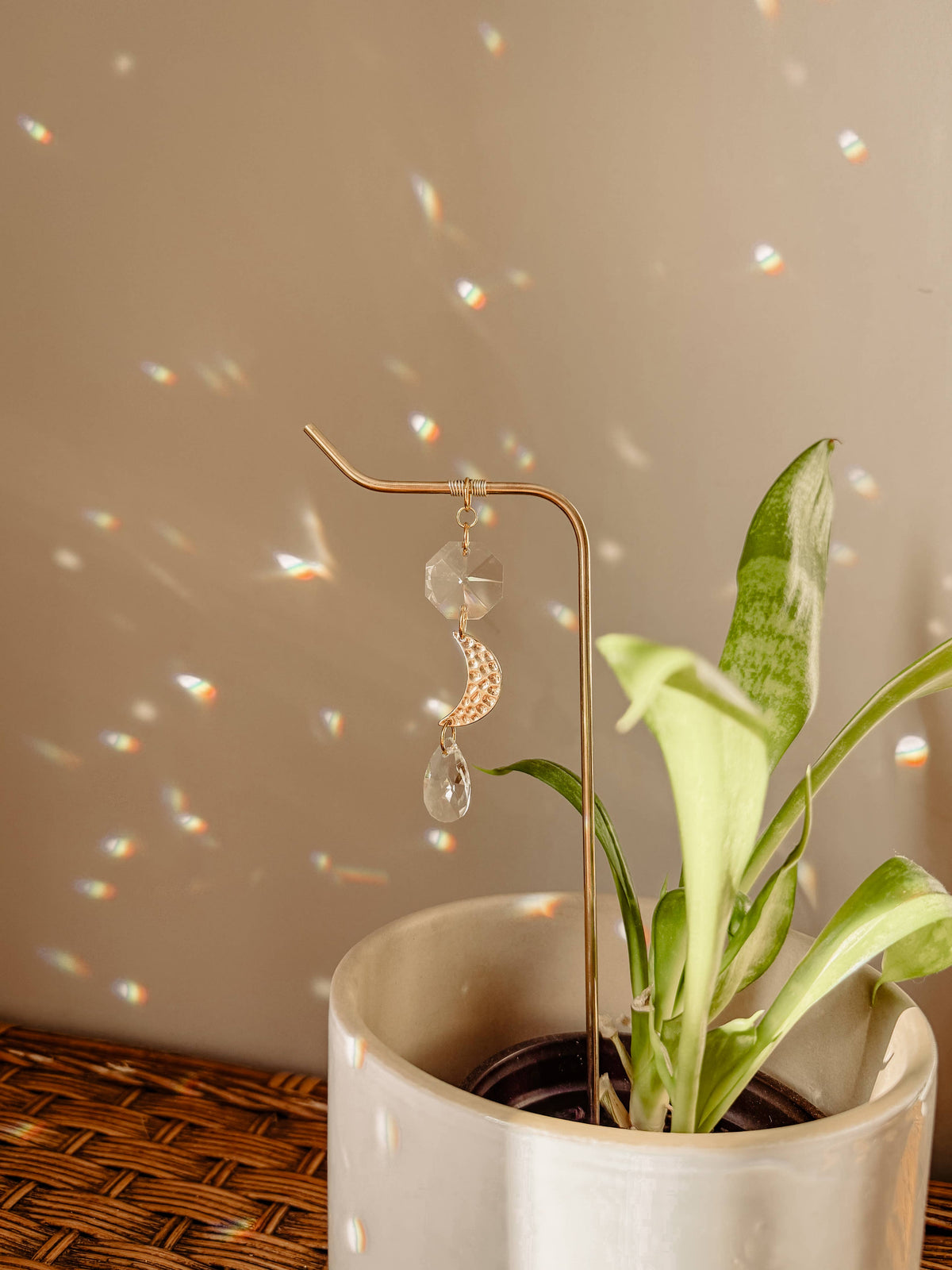 Plant Stake | Suncatcher + Moon Charm | Houseplant Accessory