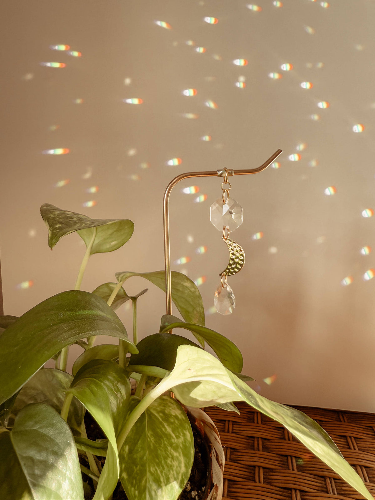 Plant Stake | Suncatcher + Moon Charm | Houseplant Accessory