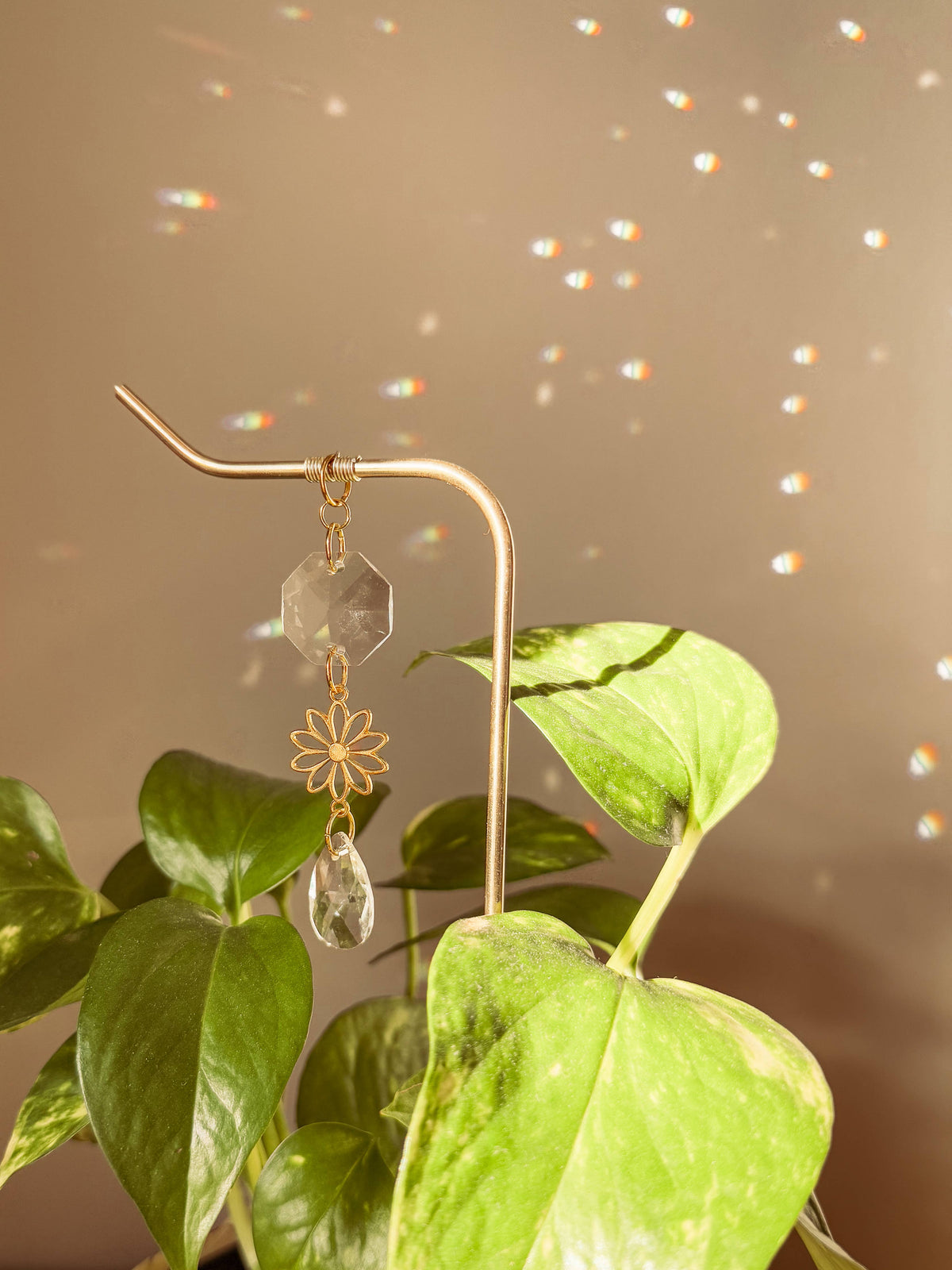 Plant Stake | Suncatcher + Daisy Charm | Houseplant Decor