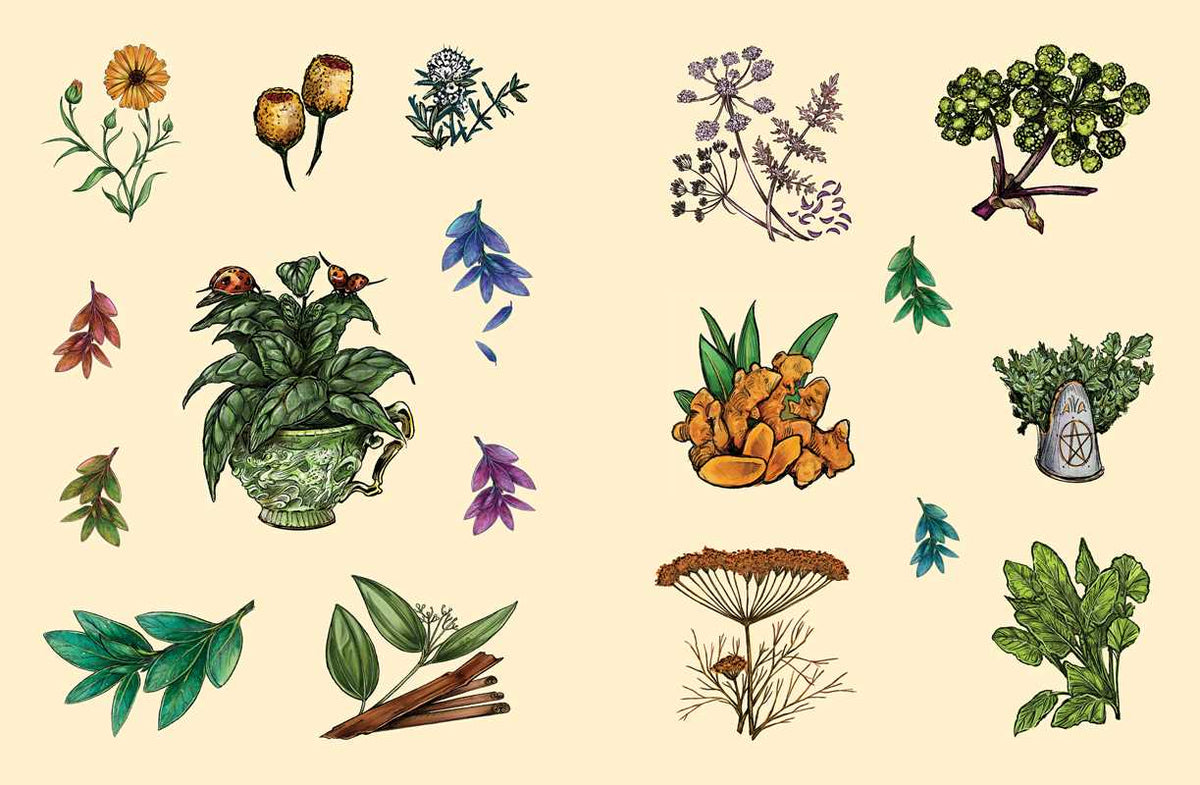 Green Witch's Sticker Book by Arin Murphy-Hiscock: Paperback 144 pages