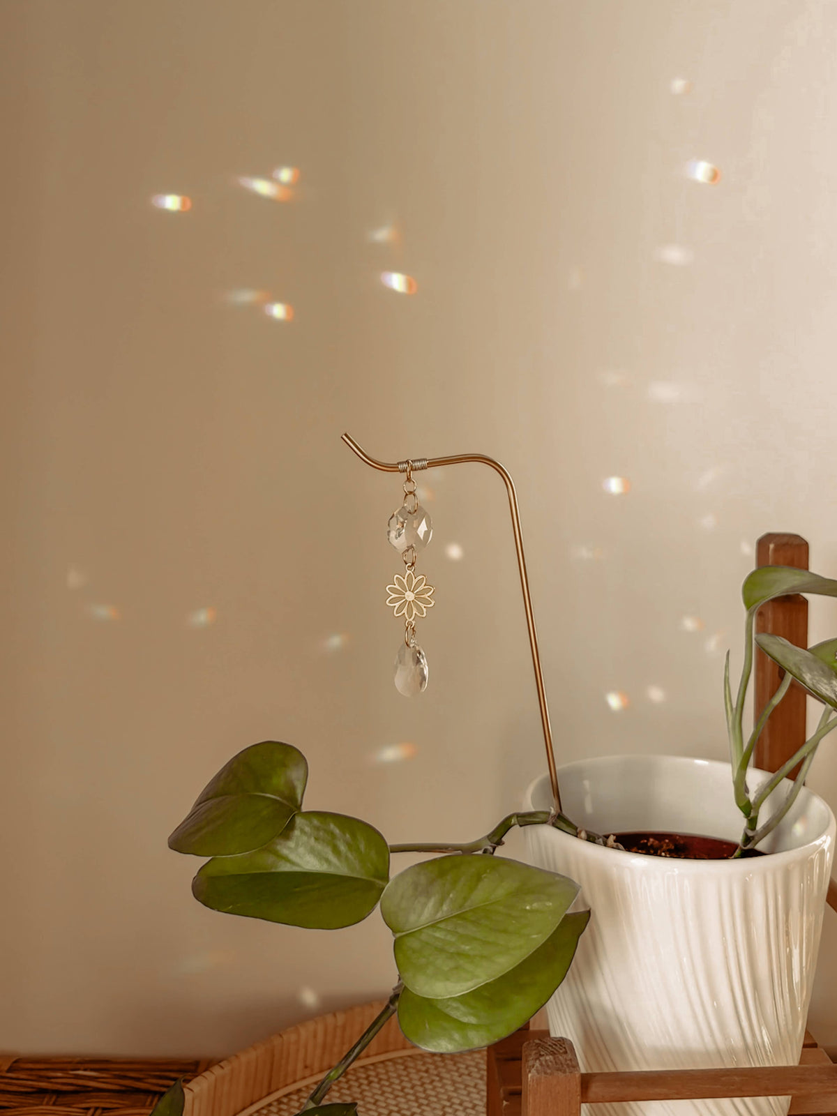 Plant Stake | Suncatcher + Daisy Charm | Houseplant Decor