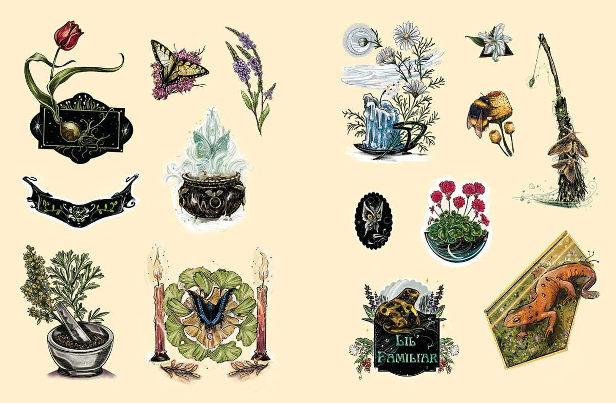 Green Witch's Sticker Book by Arin Murphy-Hiscock: Paperback 144 pages