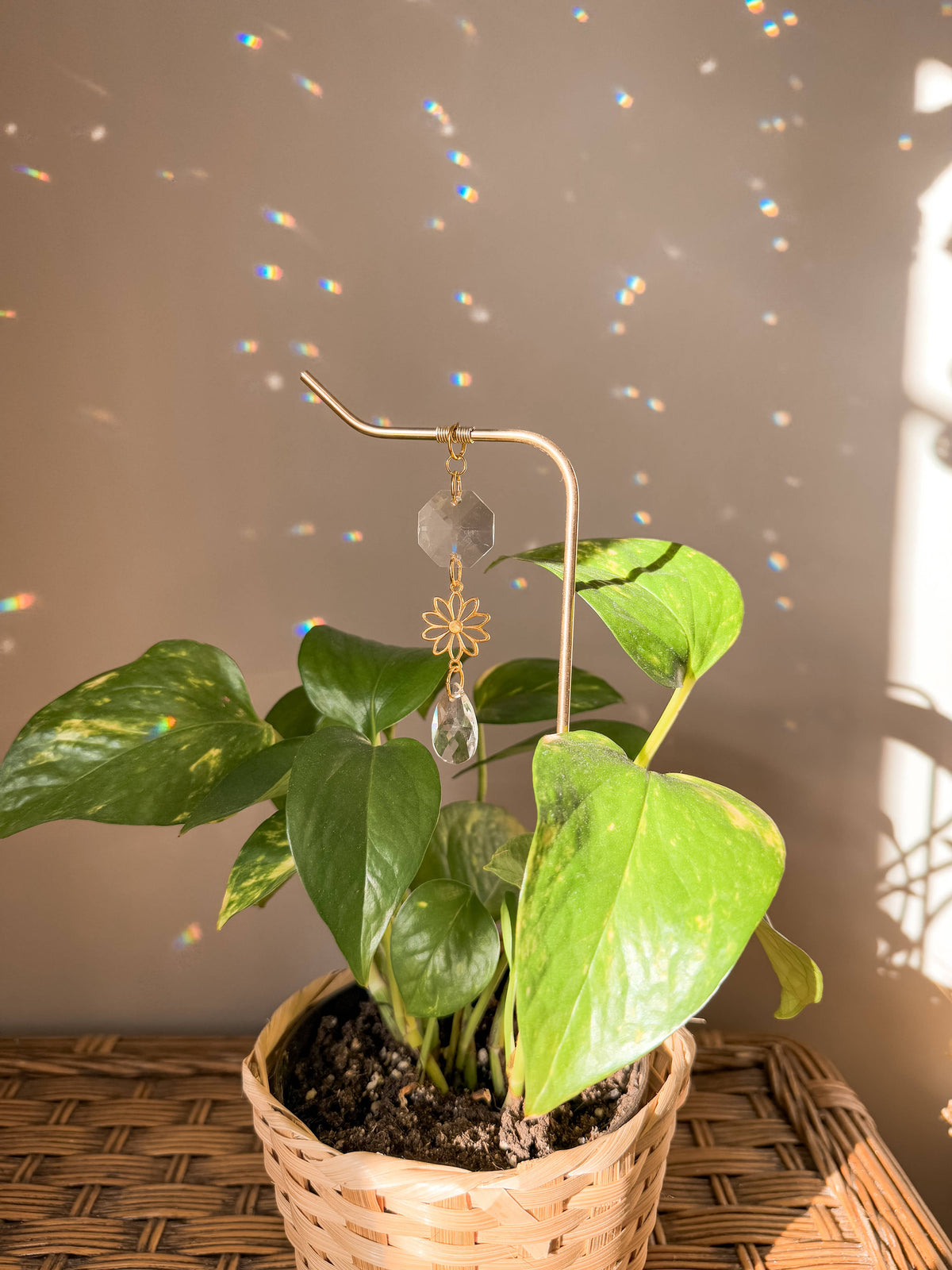 Plant Stake | Suncatcher + Daisy Charm | Houseplant Decor