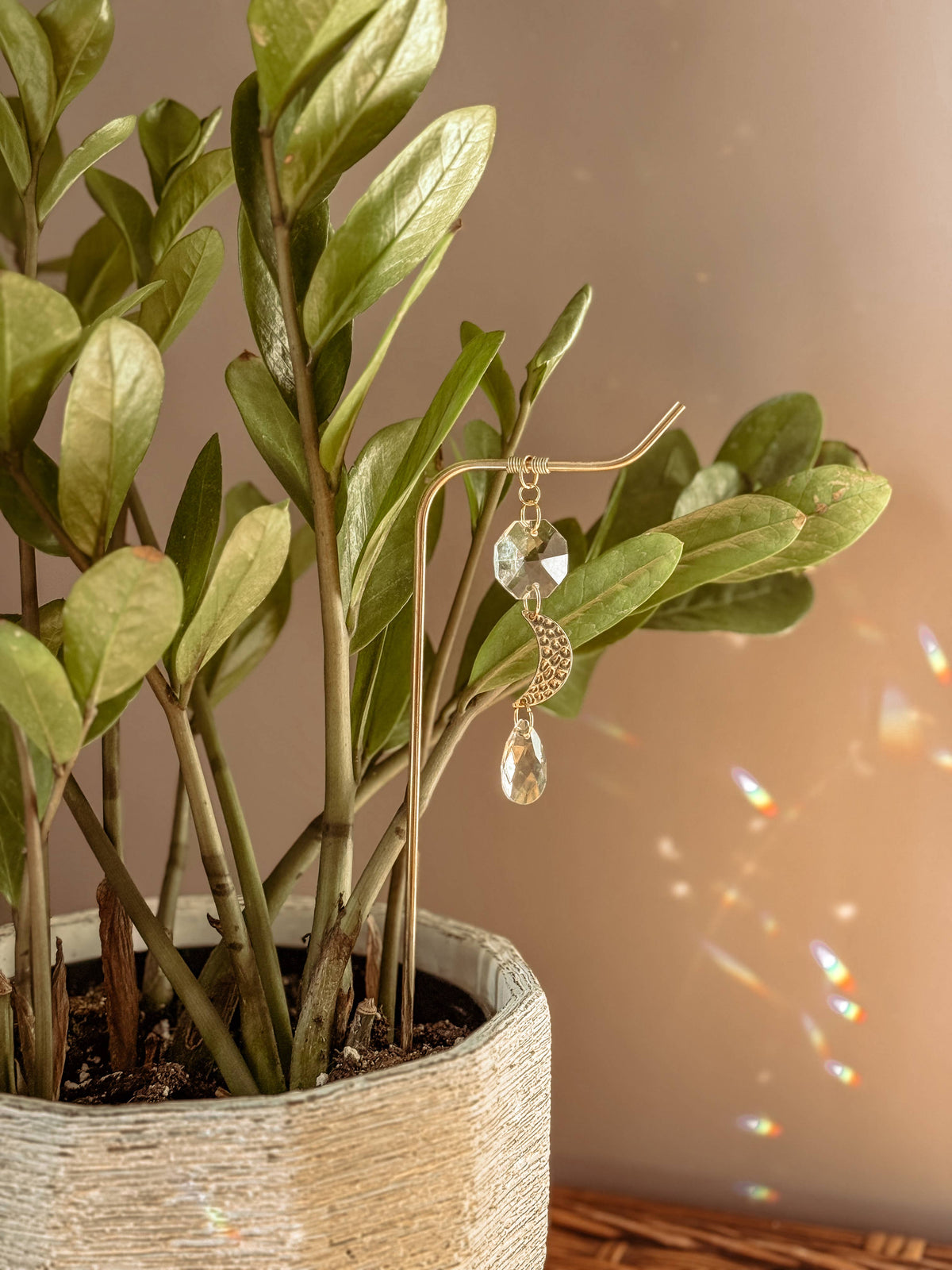 Plant Stake | Suncatcher + Moon Charm | Houseplant Accessory