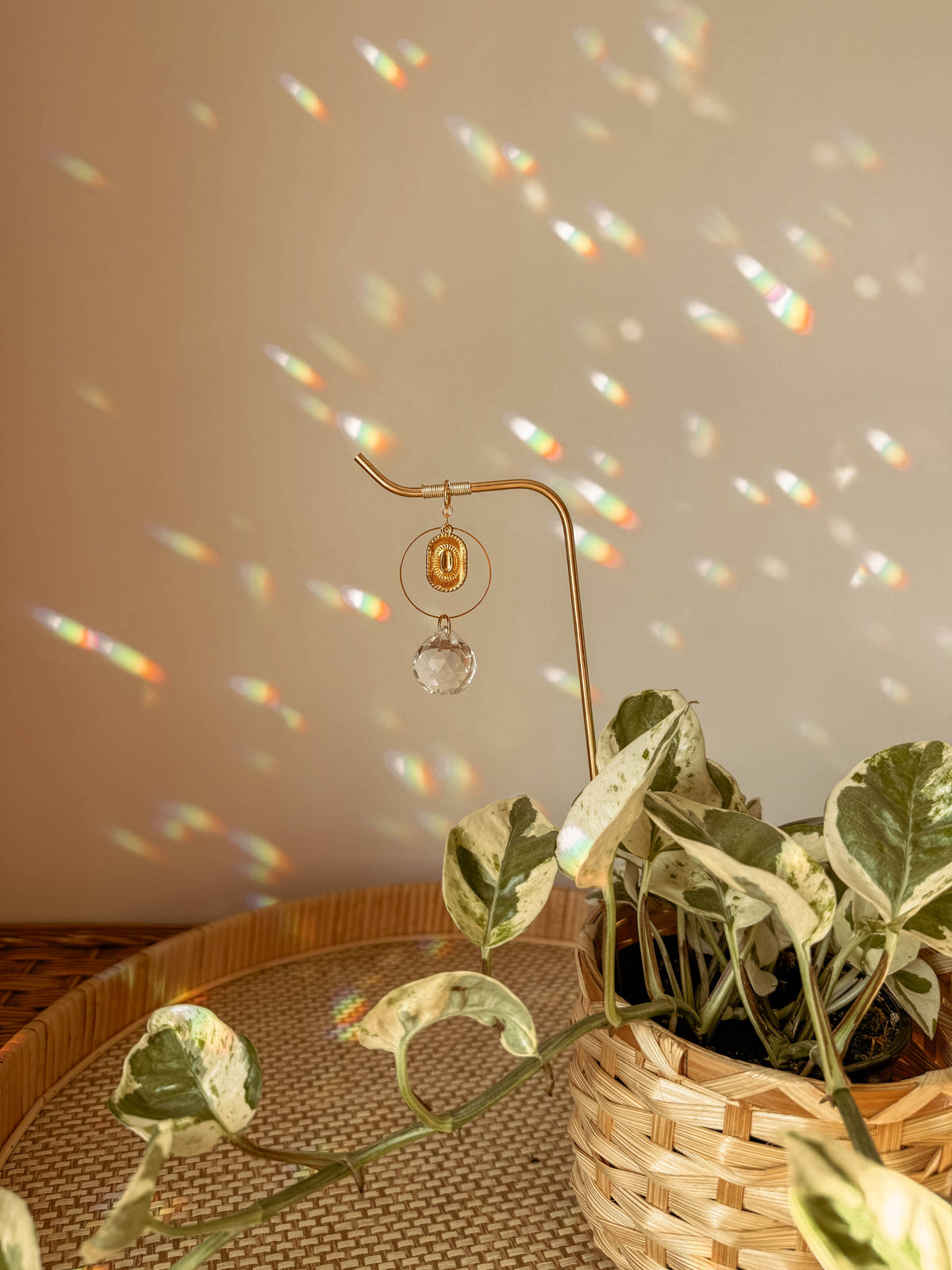 Plant Stake | Suncatcher + Cowboy Hat | Sparkling Window Art