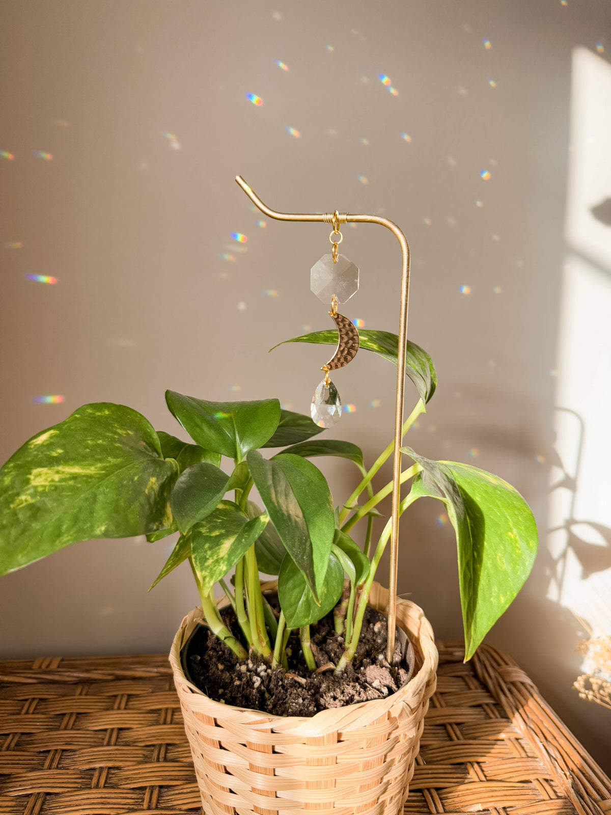 Plant Stake | Suncatcher + Moon Charm | Houseplant Accessory