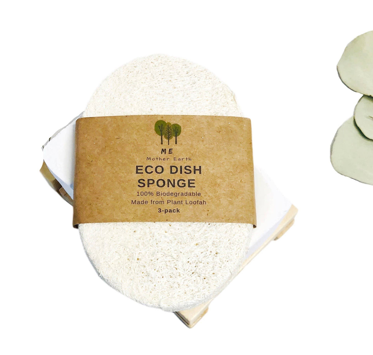 Eco dish sponge 3-Pack